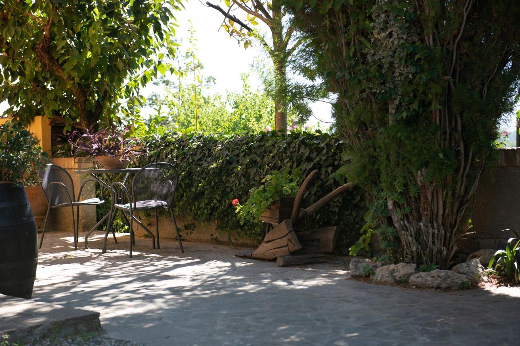 Agriturismo Il Colle Siena Exterior photo