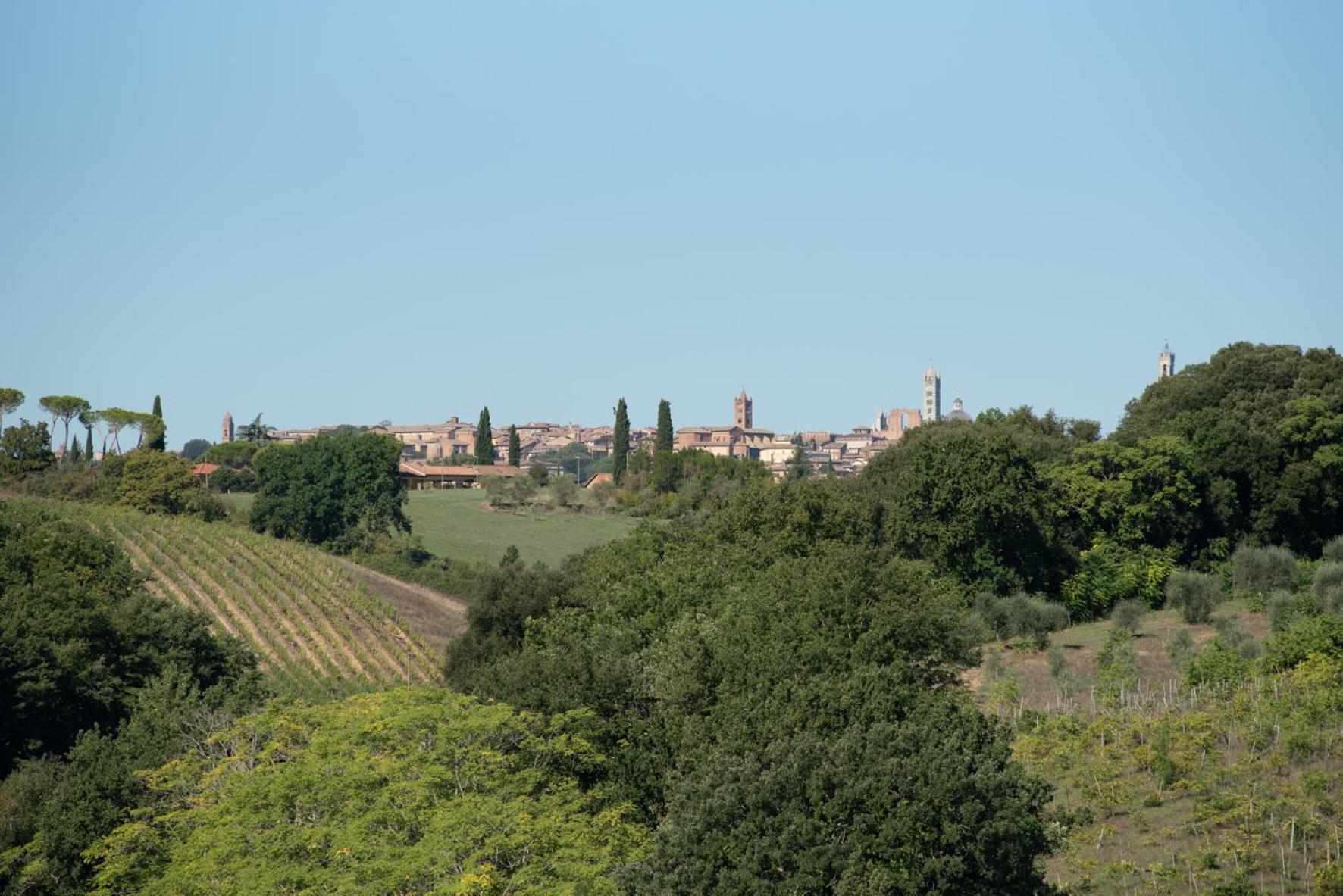 Agriturismo Il Colle Siena Exterior photo