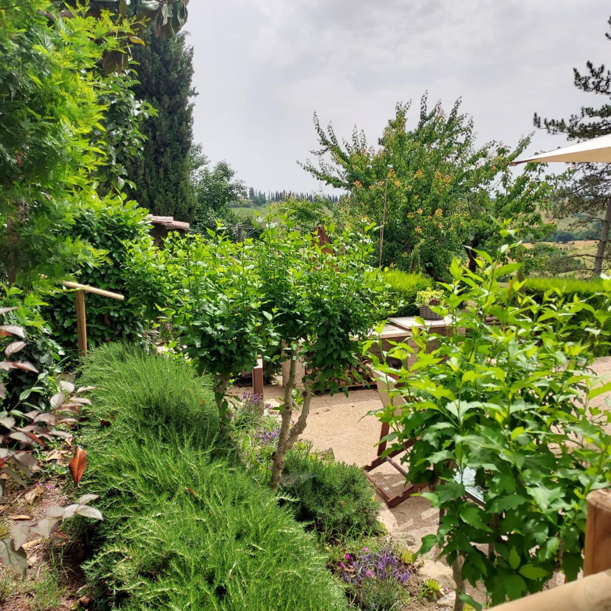 Agriturismo Il Colle Siena Exterior photo