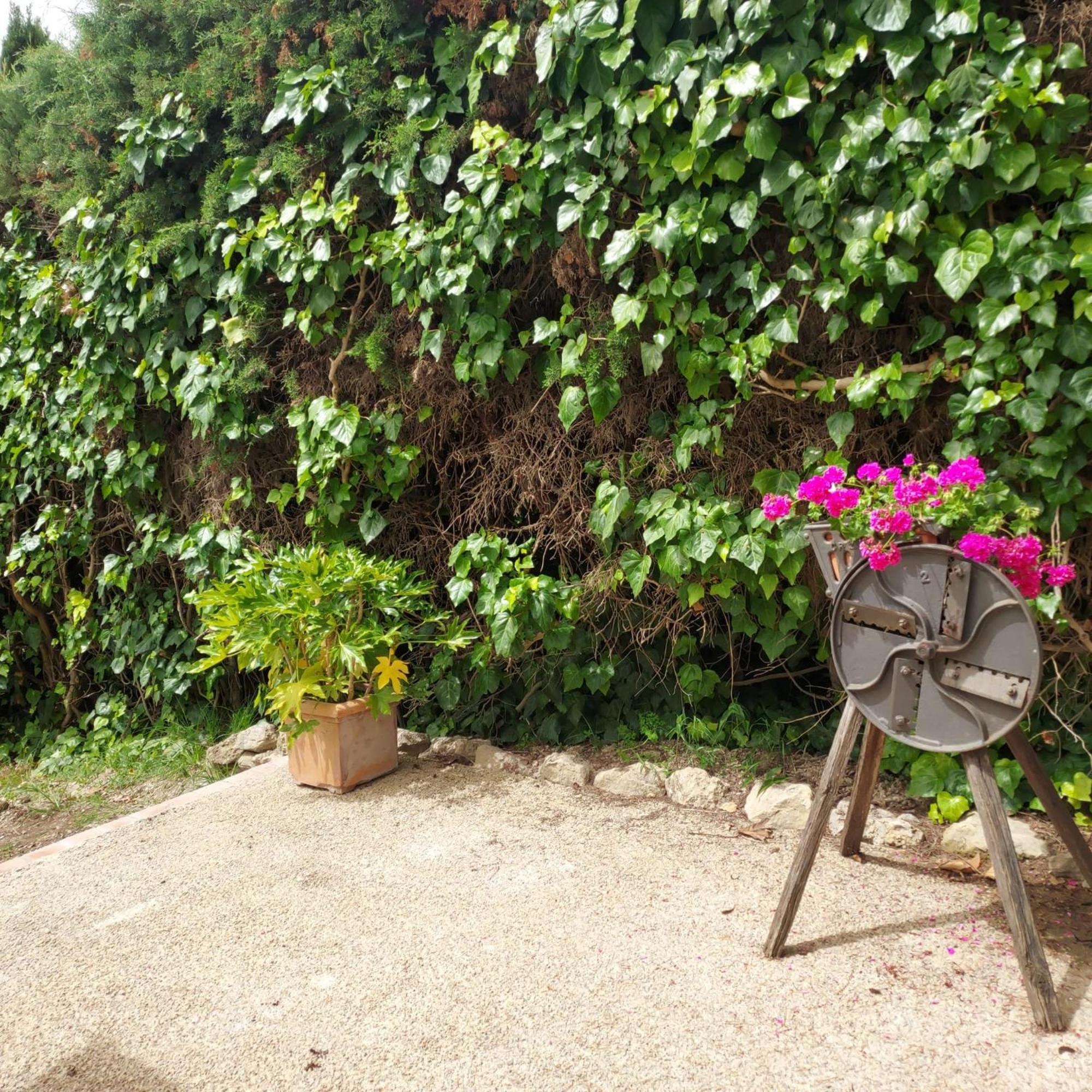 Agriturismo Il Colle Siena Exterior photo