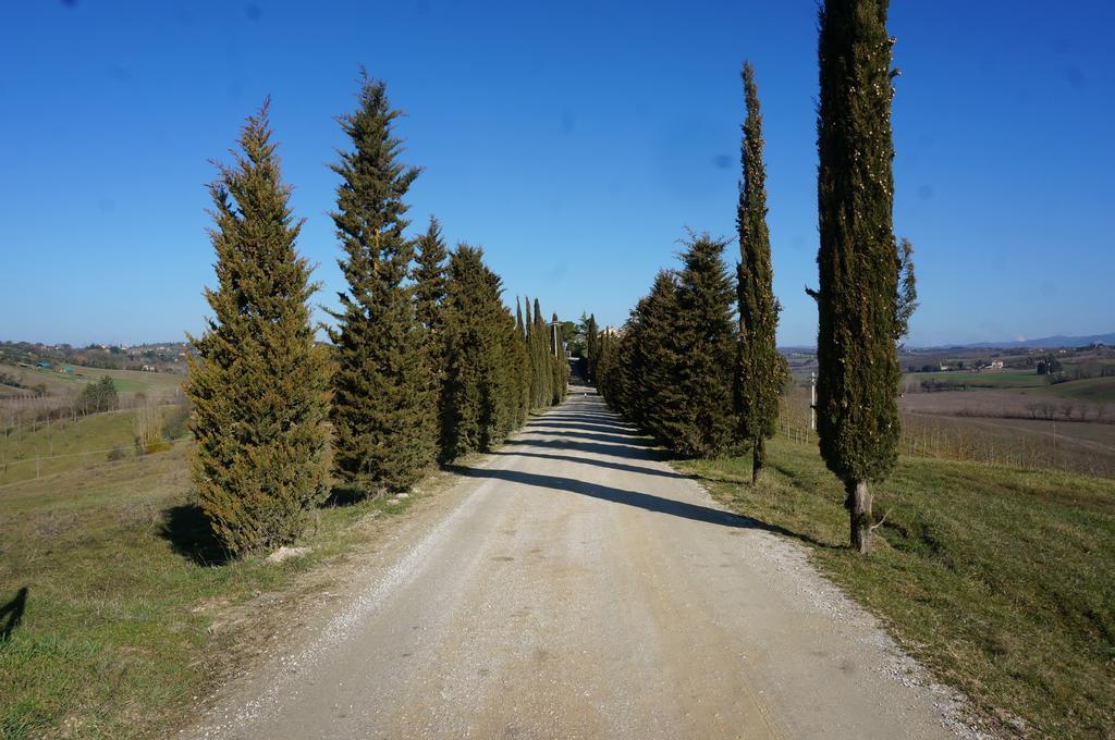 Agriturismo Il Colle Siena Exterior photo